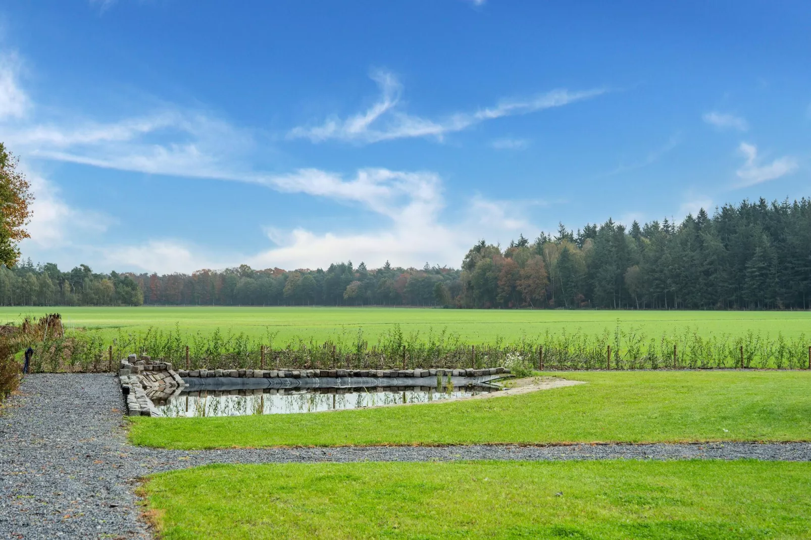 NR 2-Aussicht Sommer