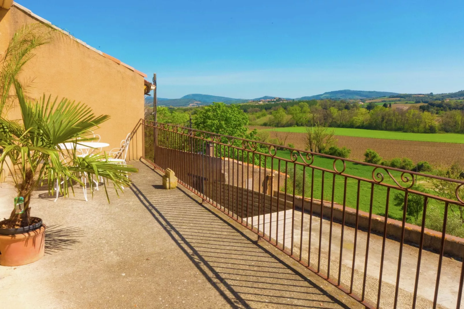 AR19-View summer