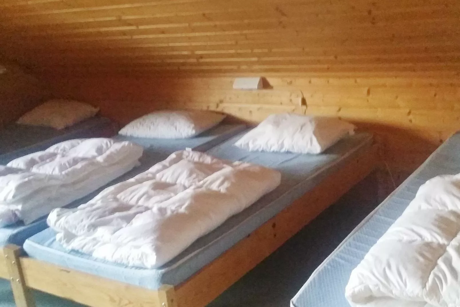 27 person holiday home in dyrdal-By Traum-Indoor