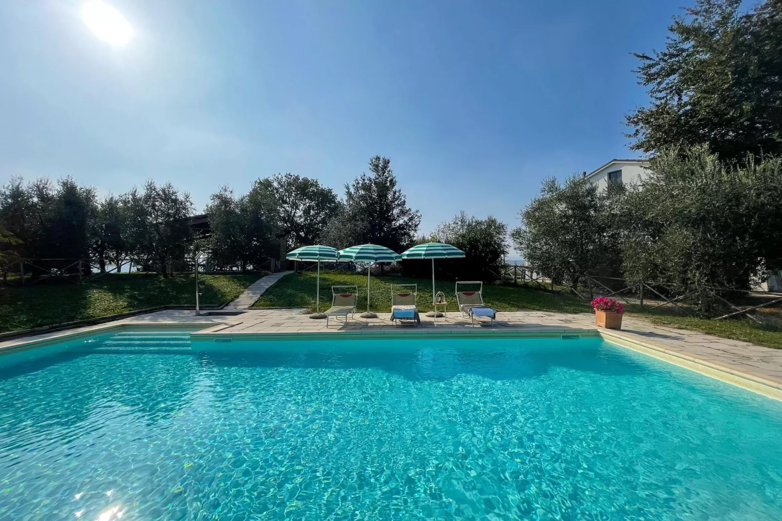 Il Sogno delle Api-Piscine