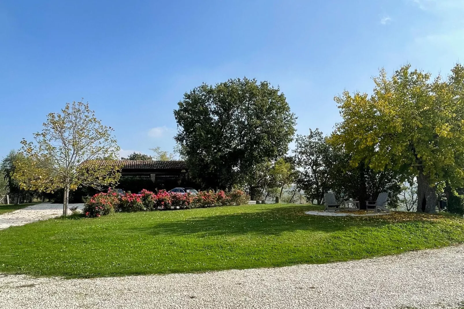 Il Sogno delle Api-Jardin d'été
