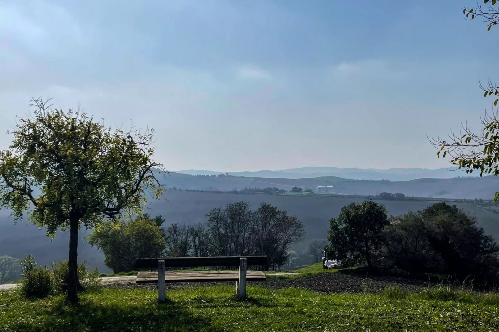Il Sogno delle Api-Jardin d'été