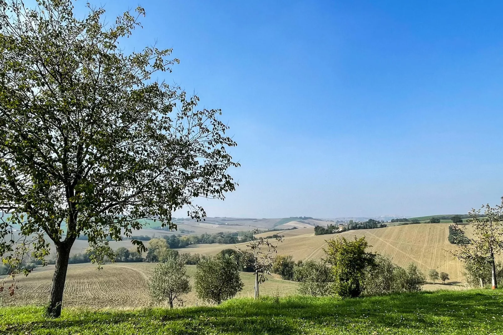 Il Sogno delle Api-Vue d'été
