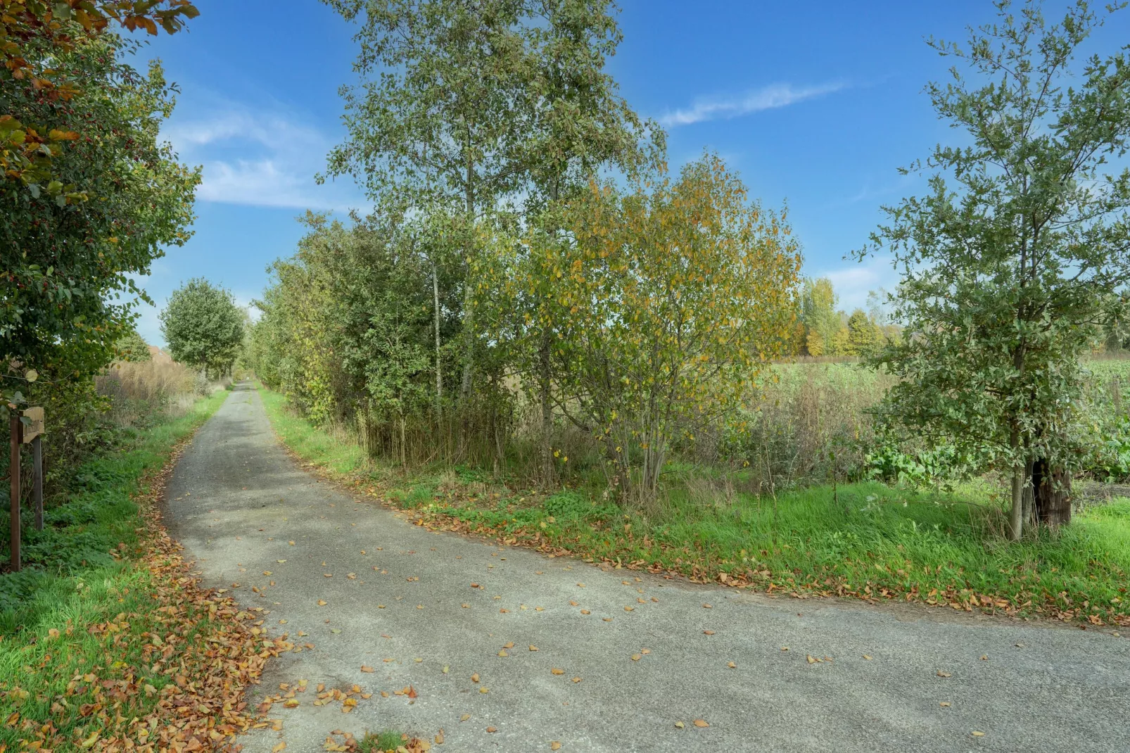 Genieten in Silvolde II-Gebiete Sommer 1 km
