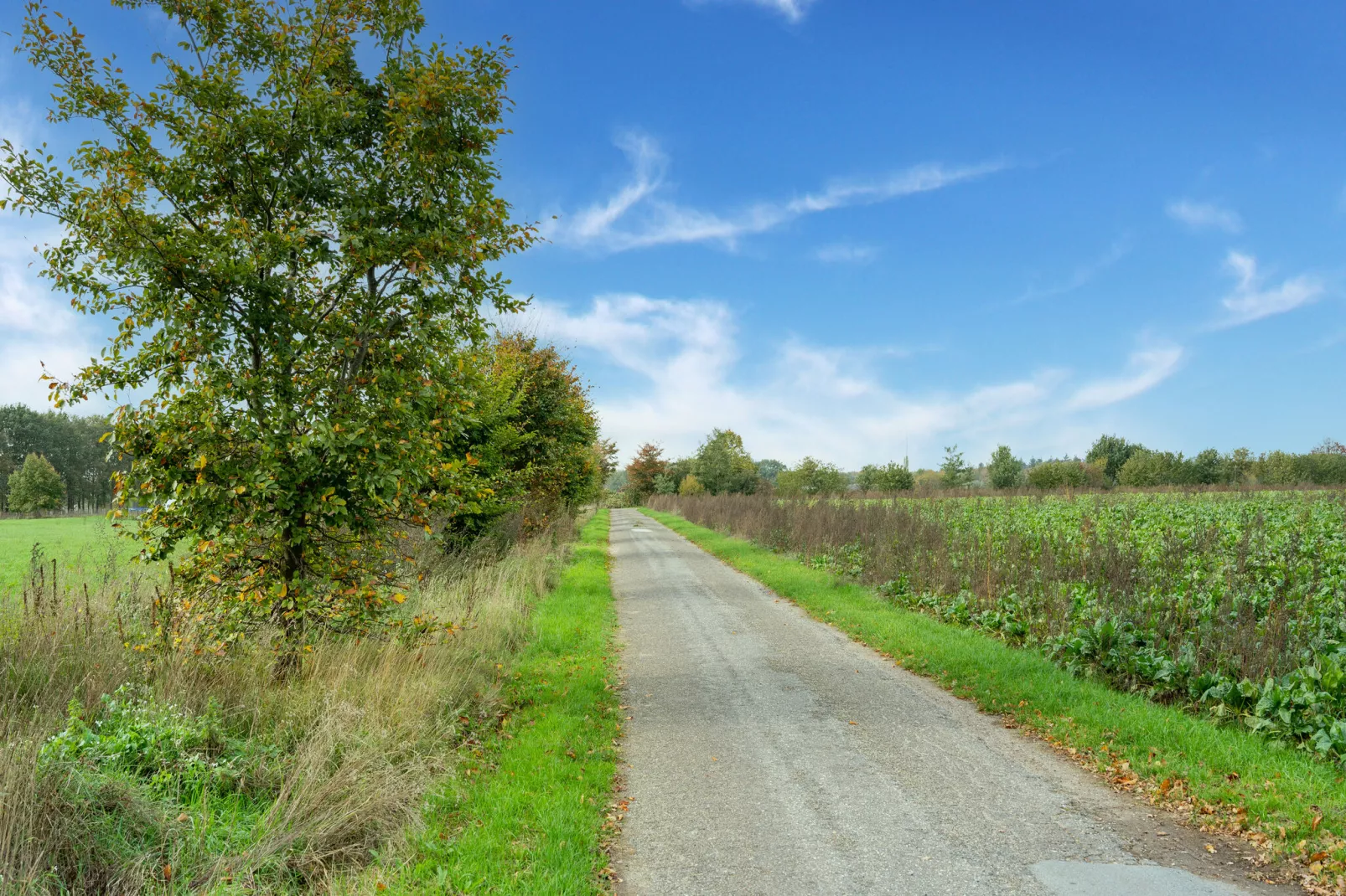 Genieten in Silvolde II-Gebiete Sommer 5 km