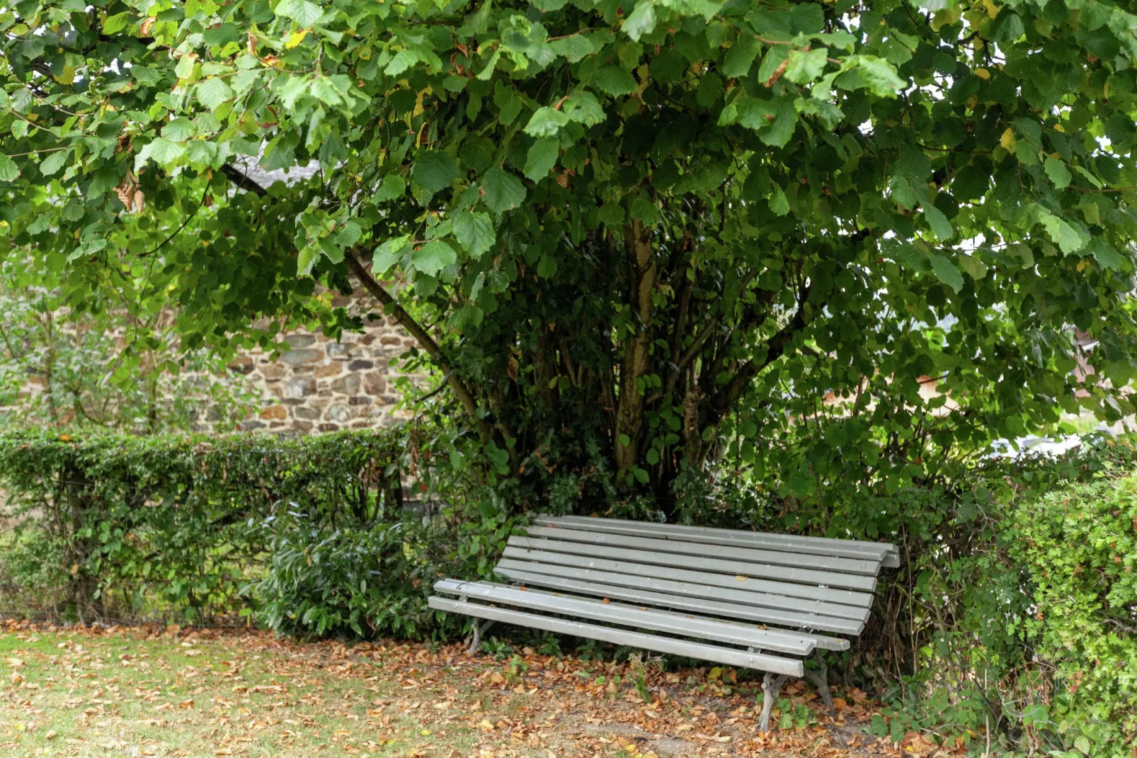 Orchidee-Facilities