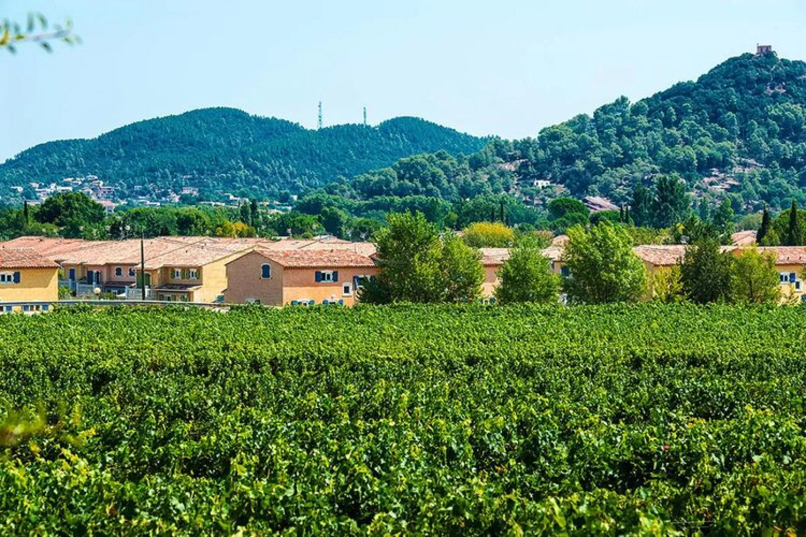 Residence Le Clos des Oliviers Vidauban // Maison 3 chambres 6 pers prestige villa-Zones d'été à 1 km