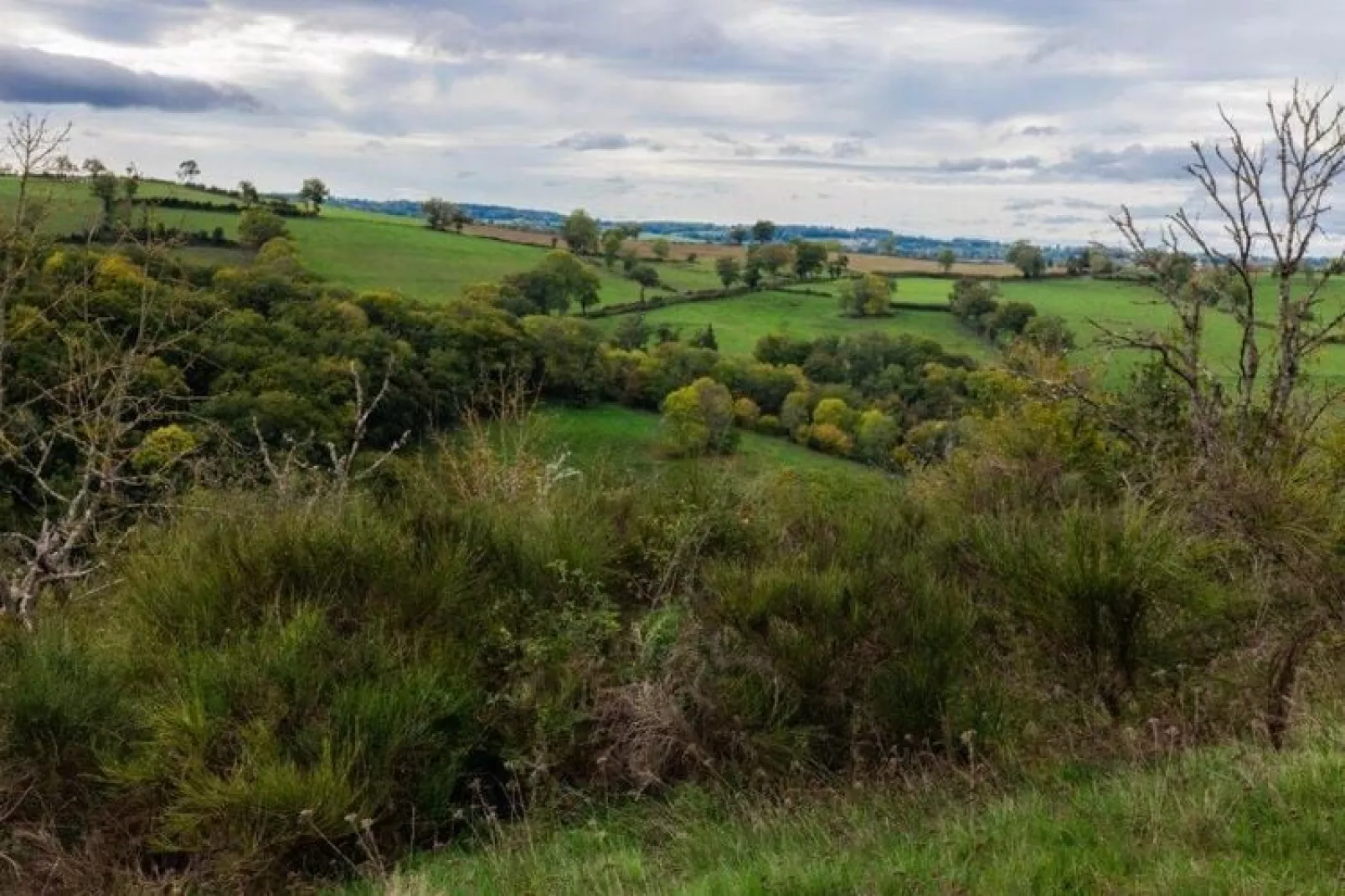 La Ferme Ranciat-View summer