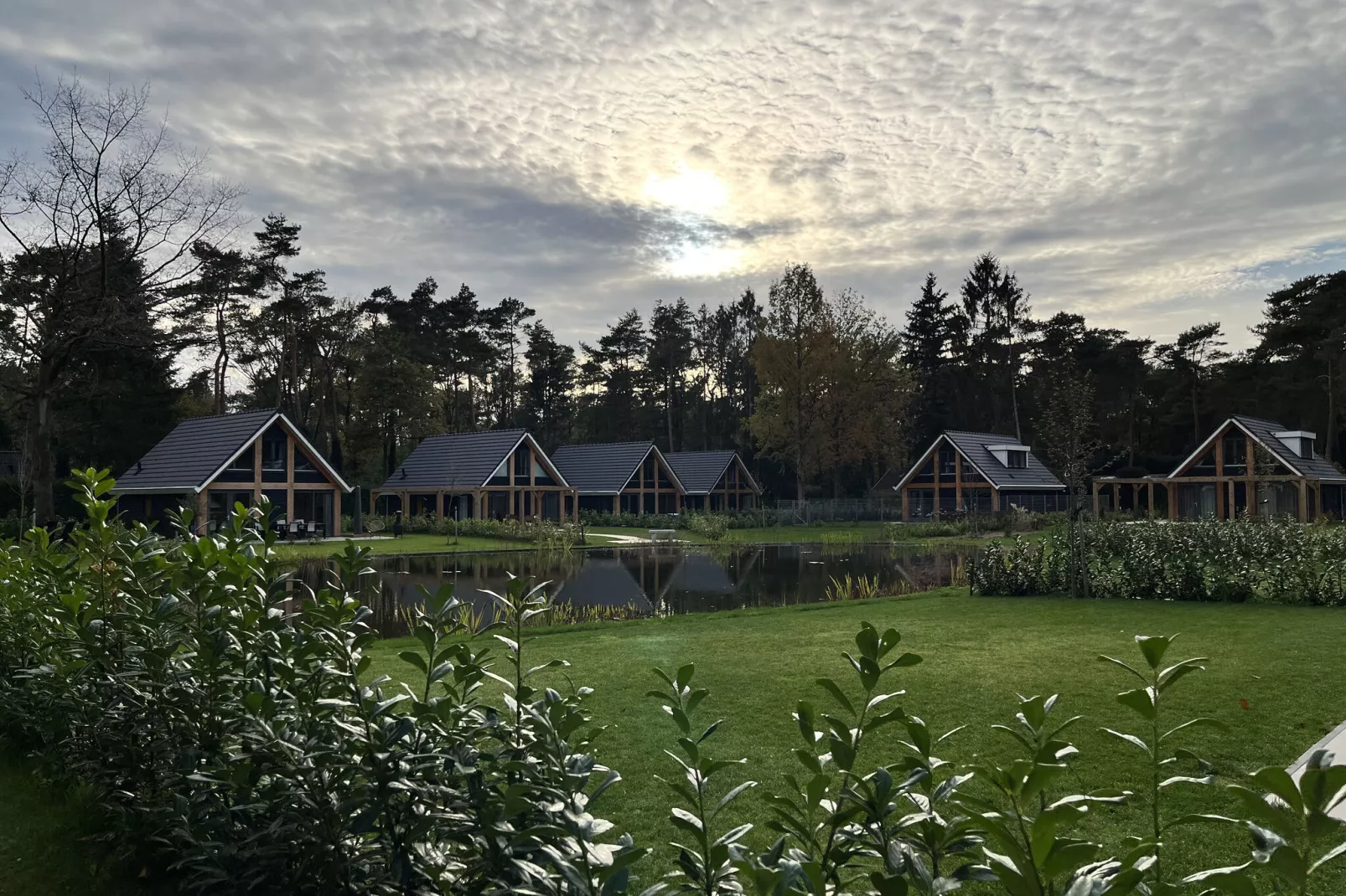 Energievriendelijk 't Brummelhuus H556-Exterior summer