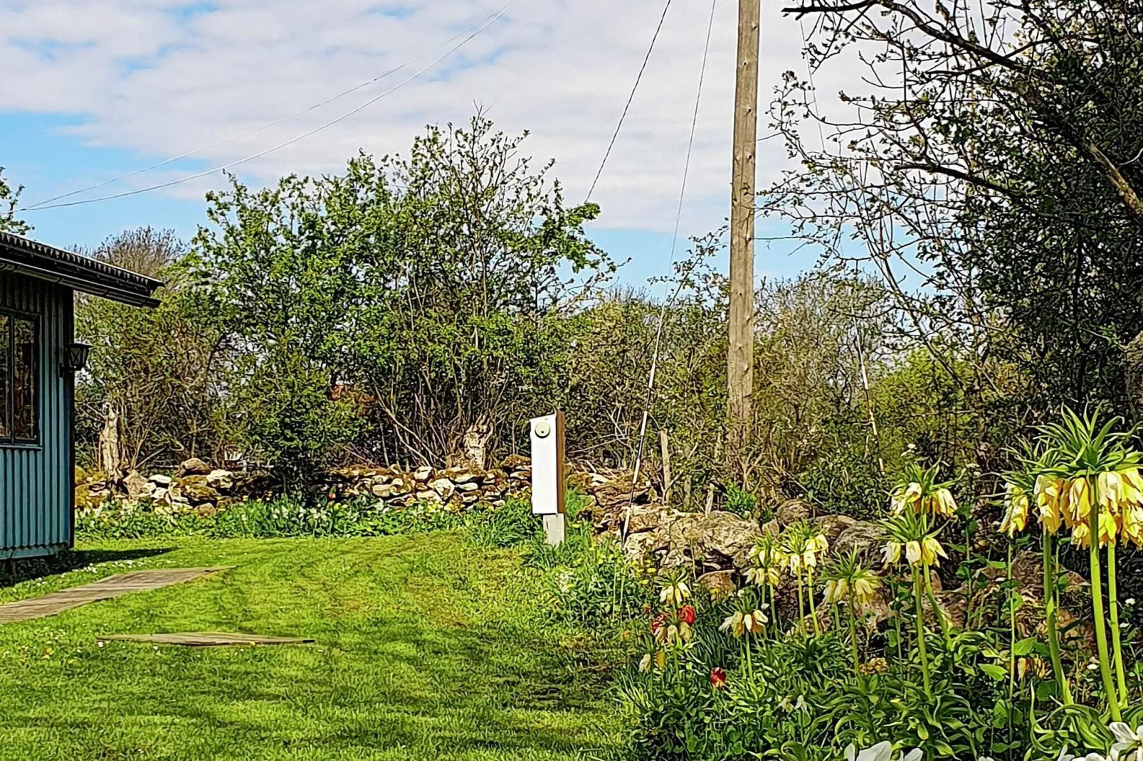 29824-Outdoor