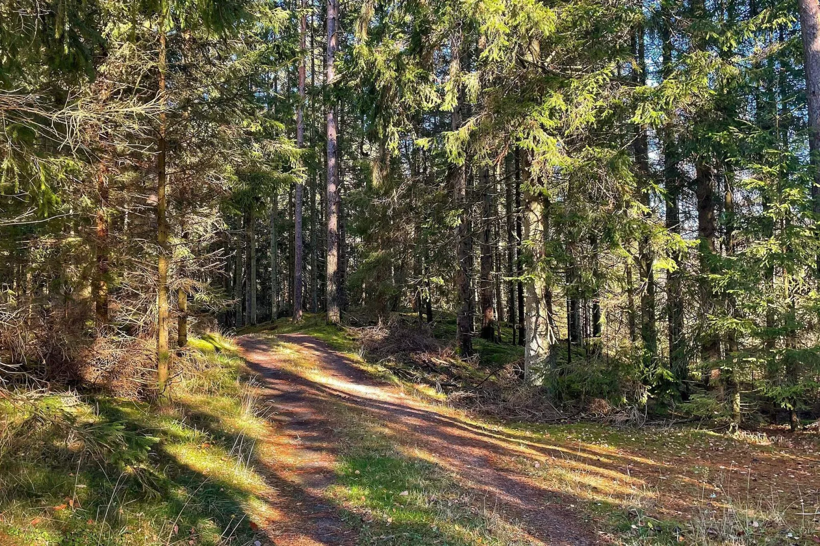 5 Personen Ferienhaus in Fjärås-By Traum-Nicht zugeordnet