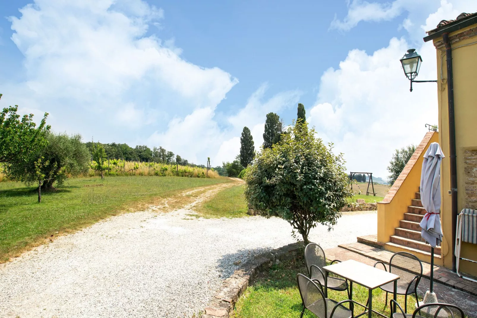 Oliveta-Aussicht Sommer