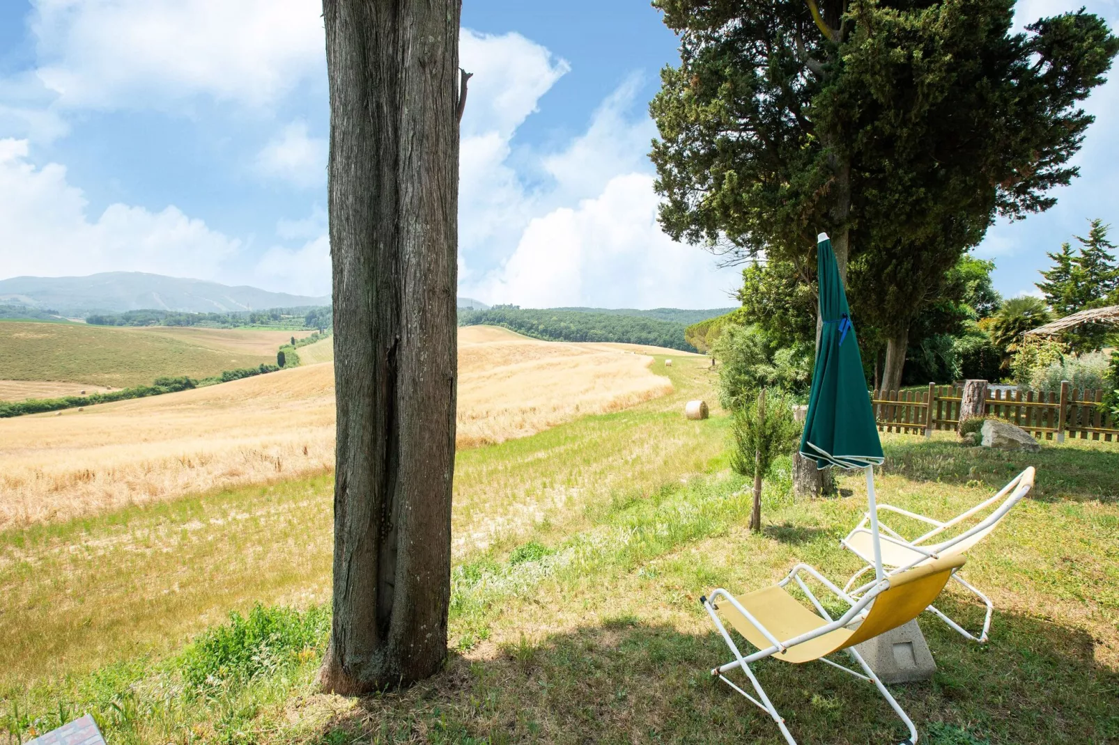 Oliveta-Aussicht Sommer