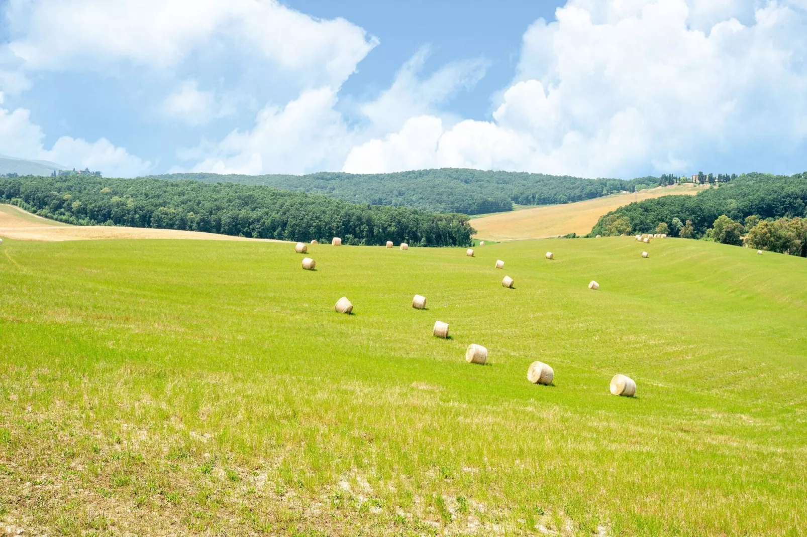 Oliveta-Gebiete Sommer 1 km