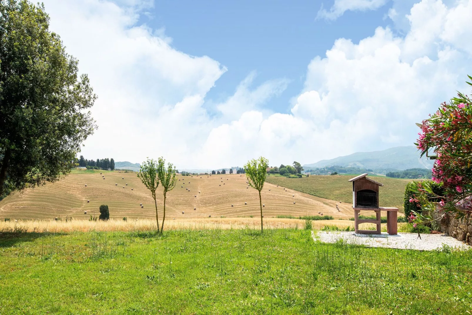 Sottobosco-Gardens summer