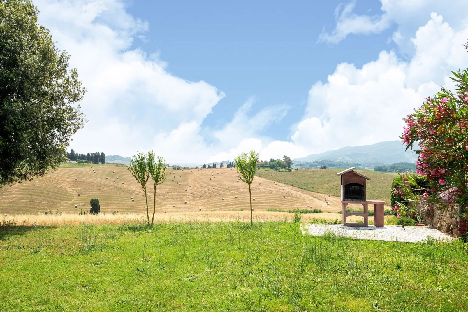 Sottobosco-Gardens summer