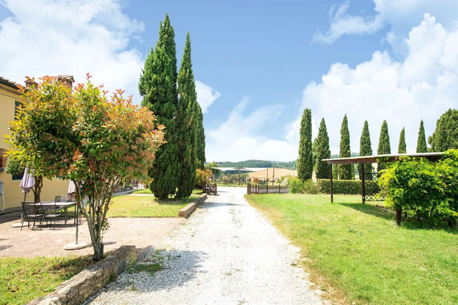 Sottobosco-Areas summer 1km