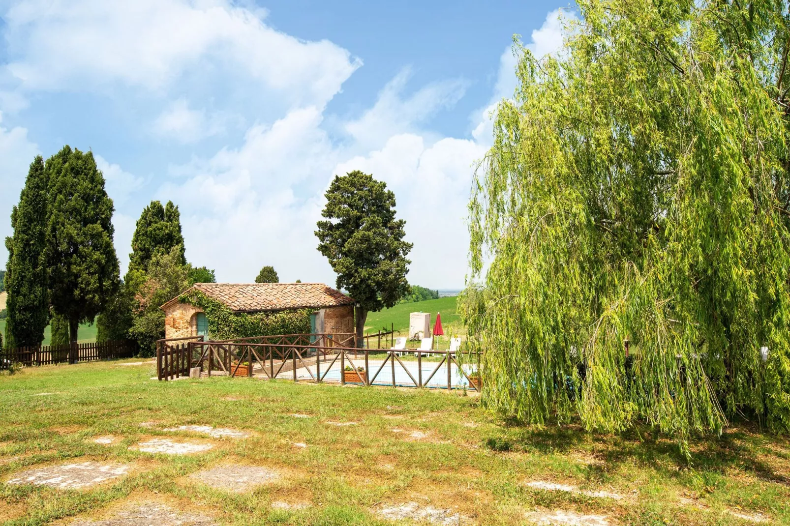 Sottobosco-Areas summer 1km