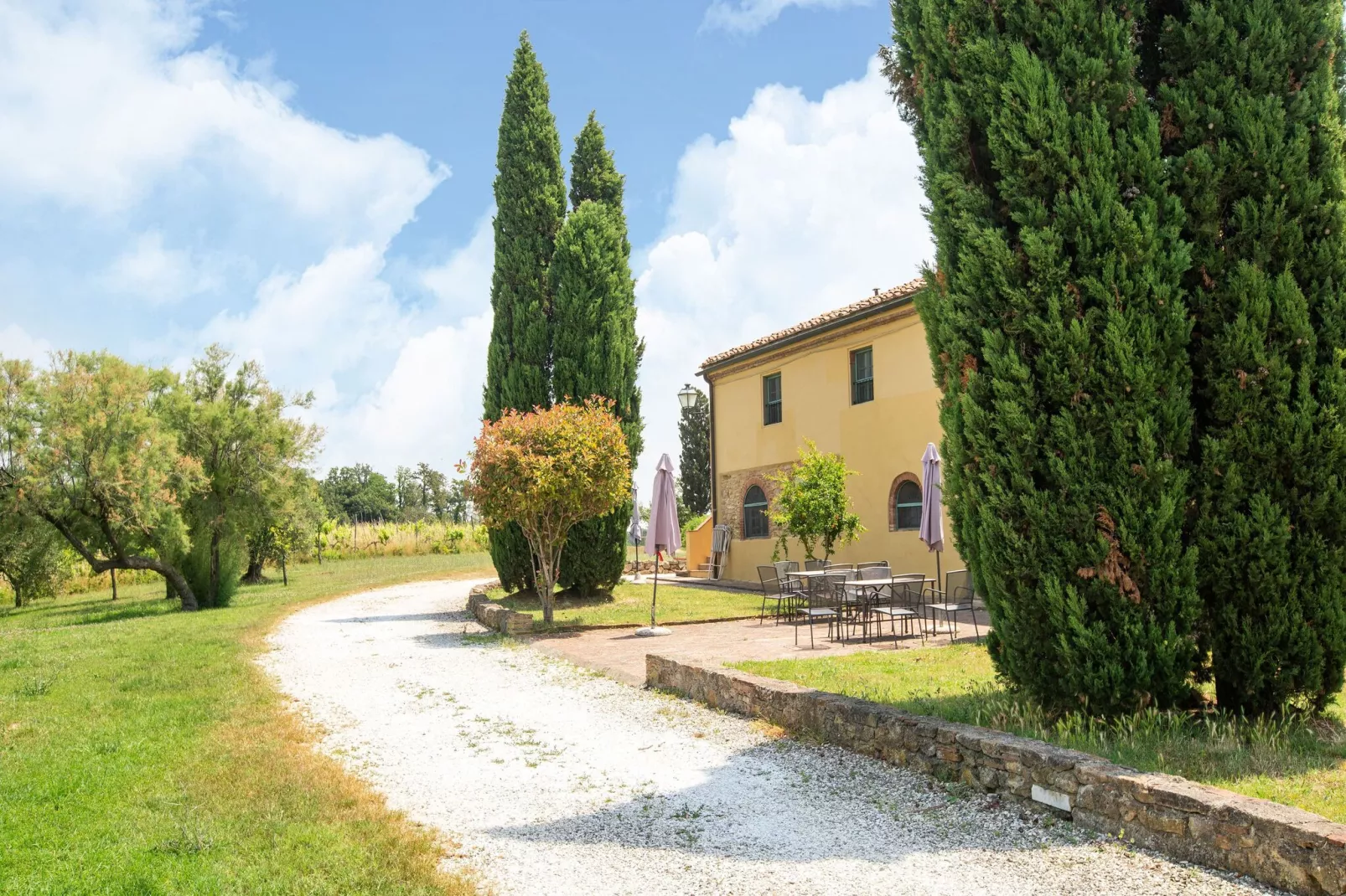 Sottobosco-Areas summer 1km