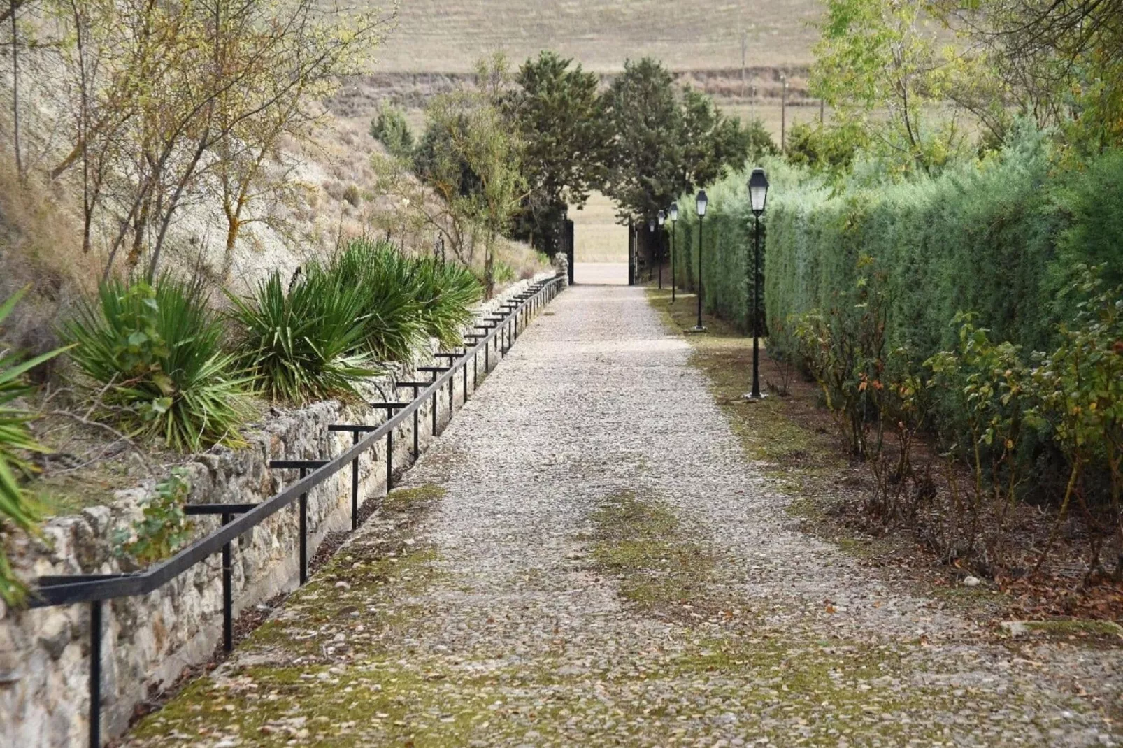 Casa de Campo El Mirador-Garden winter