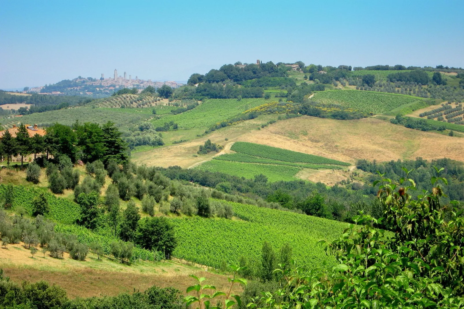 Il Torrino del Borgo-Areas summer 5km