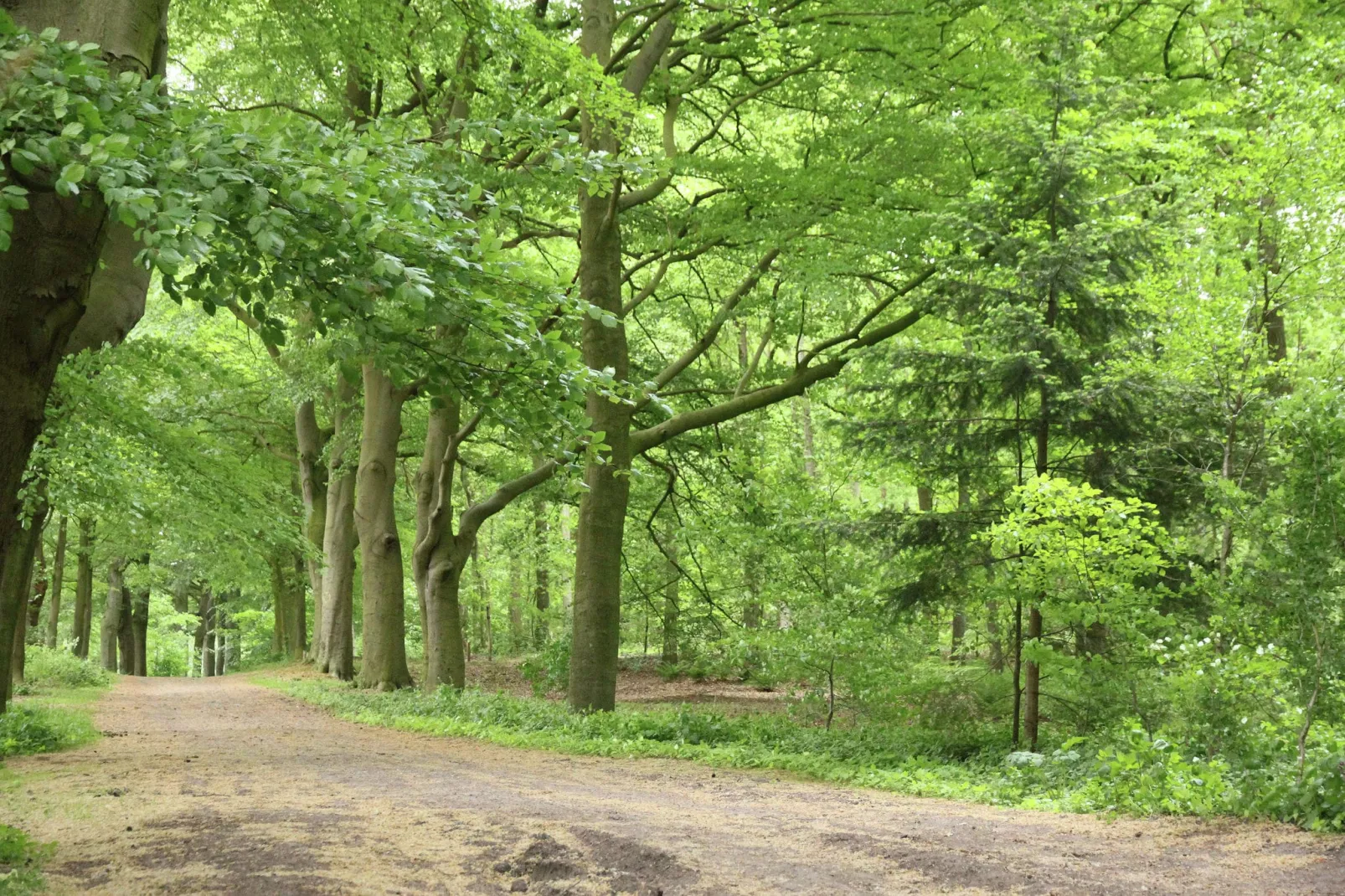 Vakantiehuis De Vlonder-Areas summer 1km