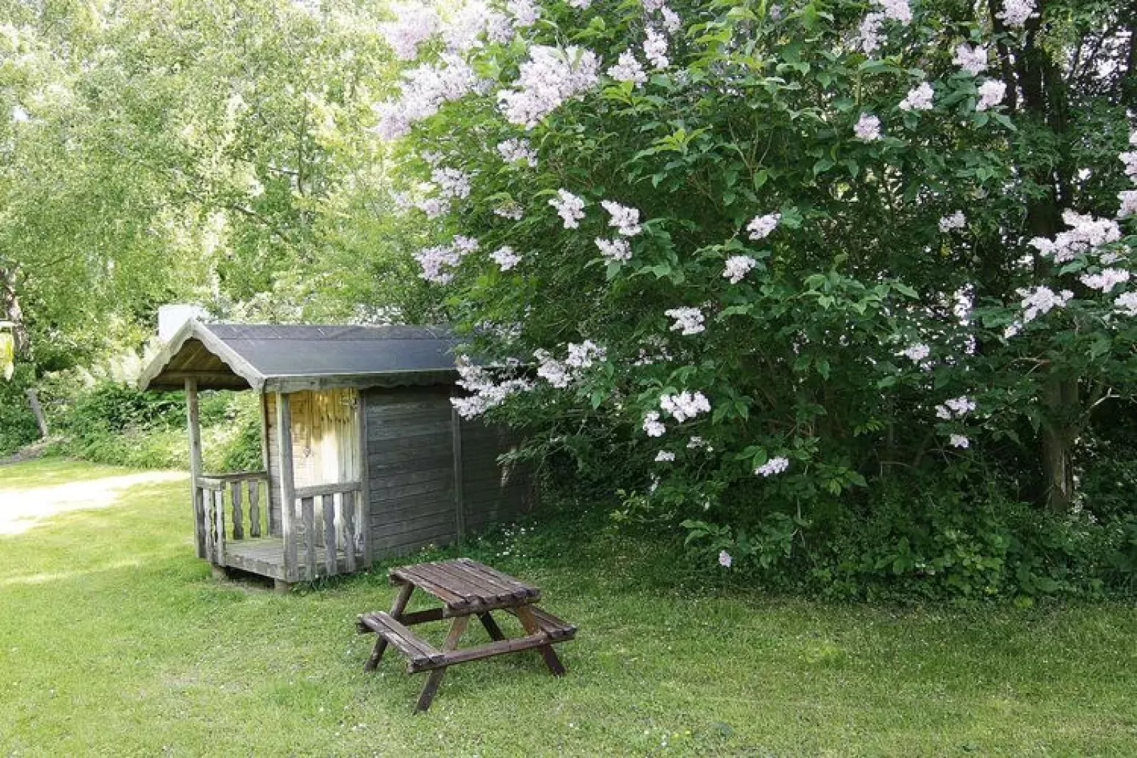 Ferienhaus Damp 90 qm 5 Personen-Gardens summer
