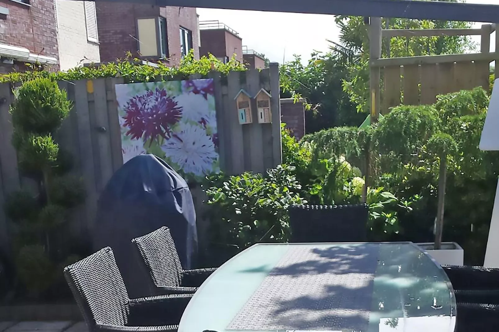 Alkmaar aan het water-Gärten Sommer