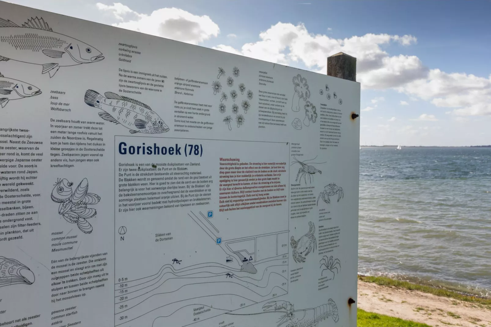 De Zeester Gorishoeksedijk 41-Gebiete Sommer 1 km