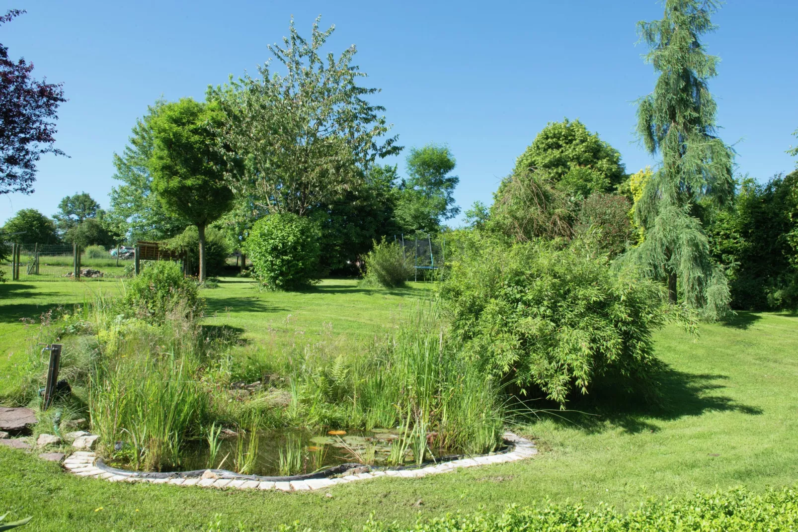 Tolifaz-Gardens summer