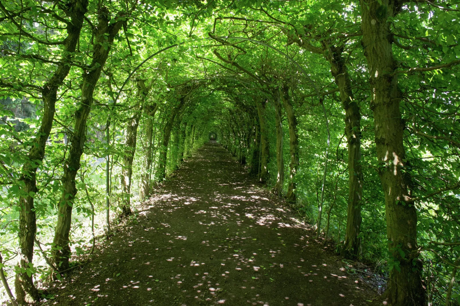 Tolifaz-Areas summer 5km