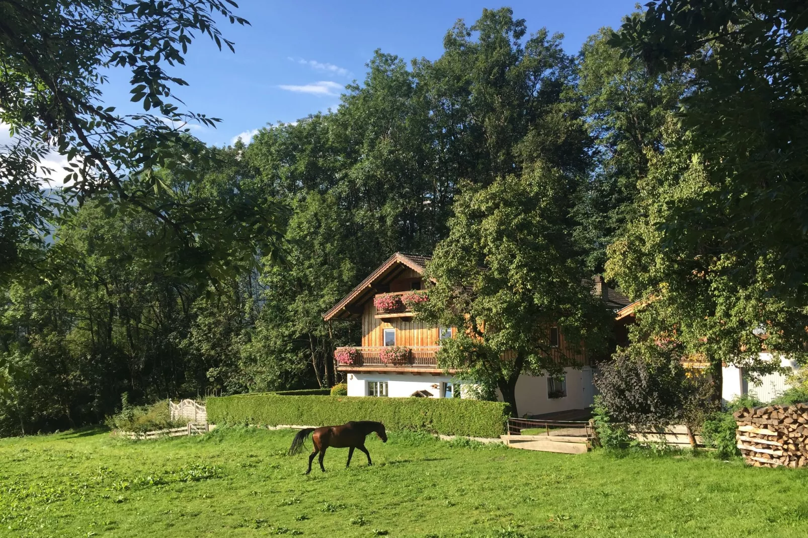 Josefine-Eva-Gardens summer