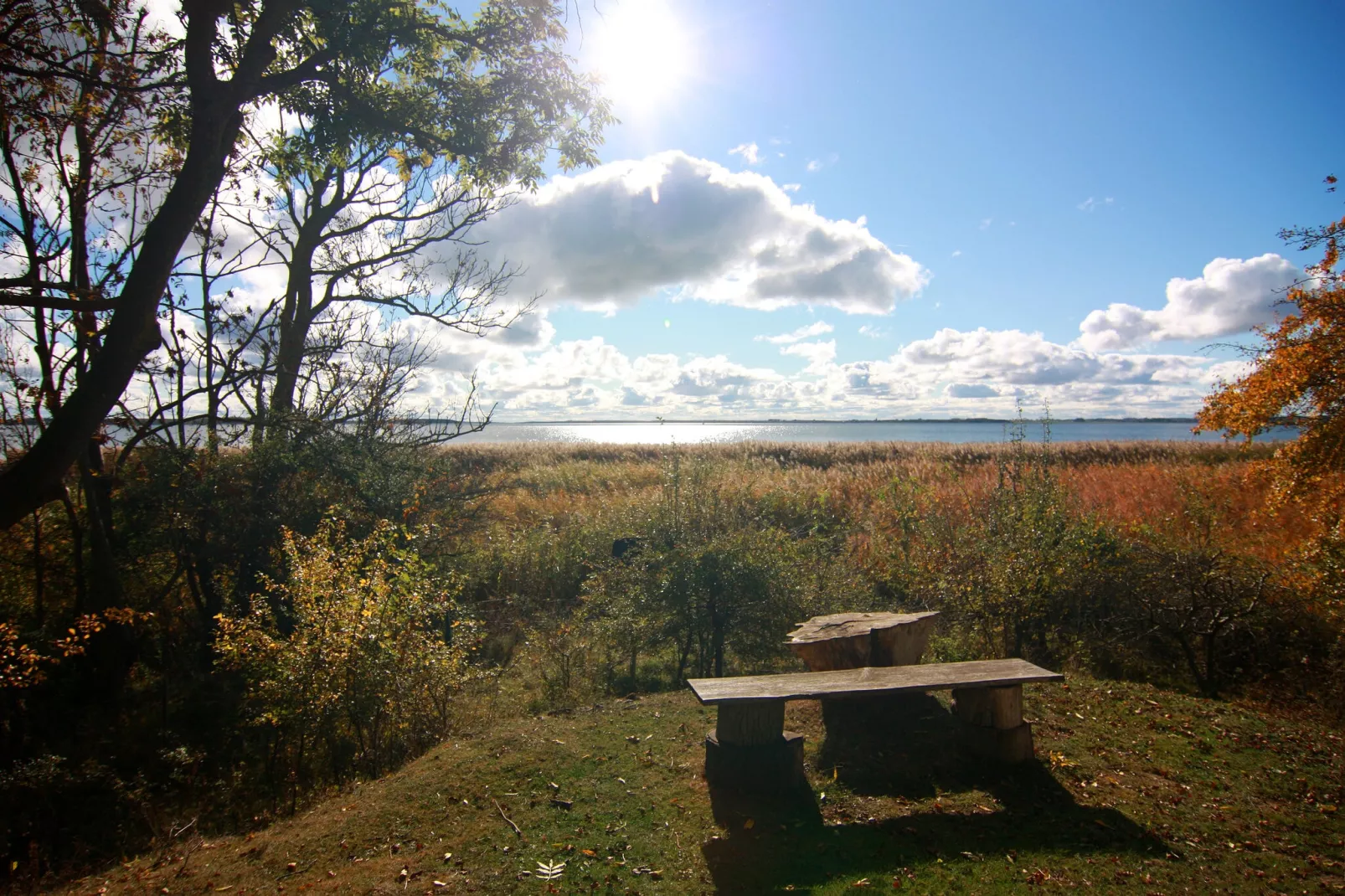 Dreamer - Glamping am Achterwasser-Vue d'hiver