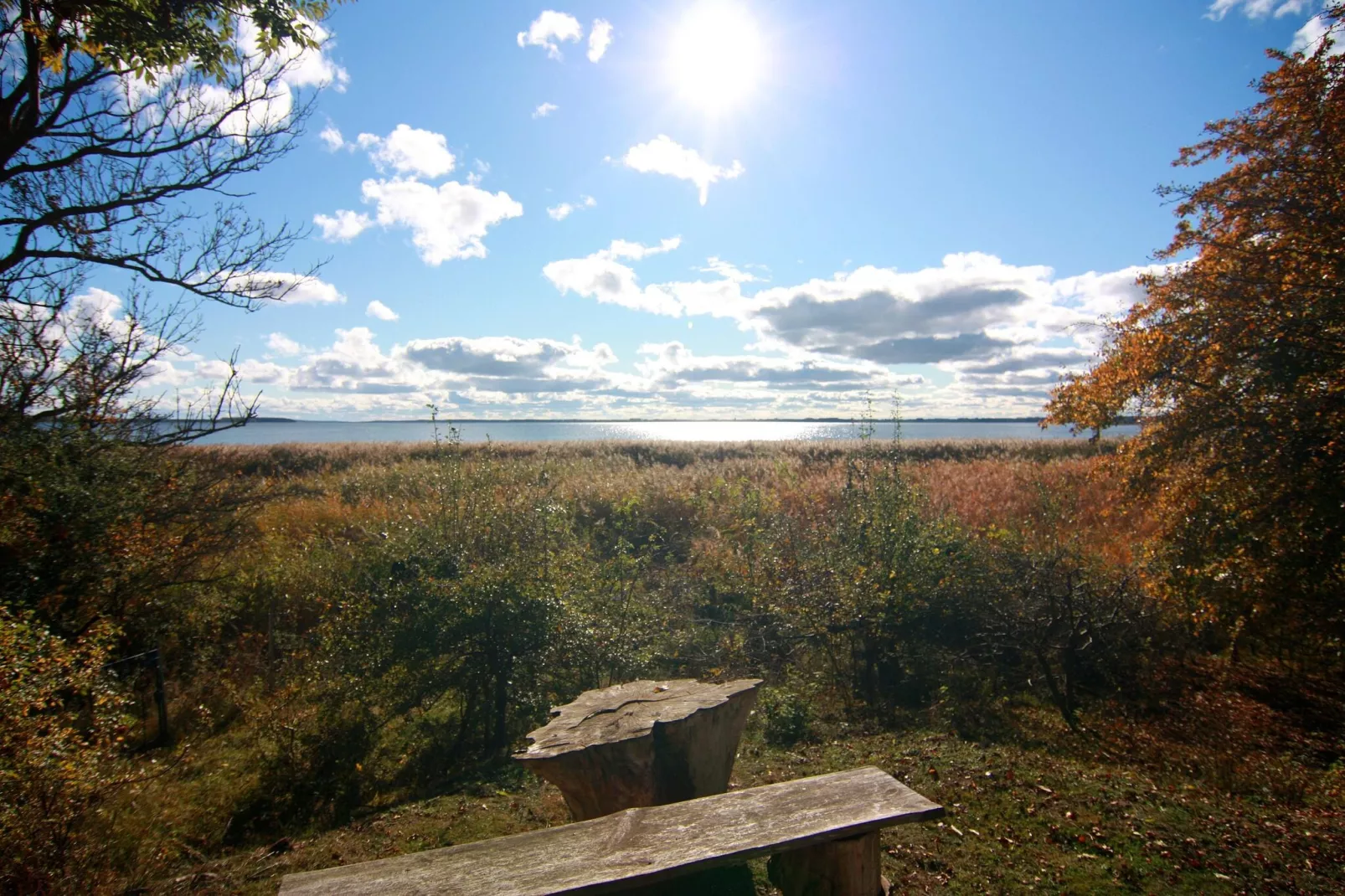 Dreamer - Glamping am Achterwasser-Vue d'hiver