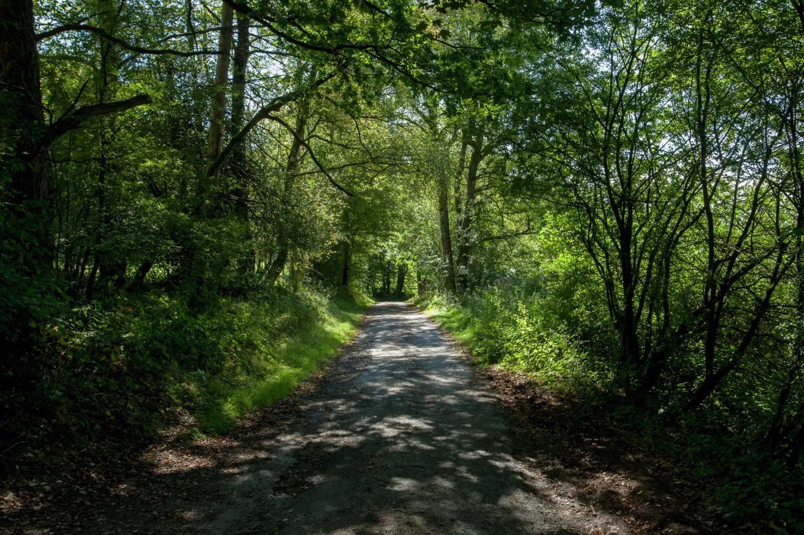 Hexagone-Gebiete Sommer 1 km