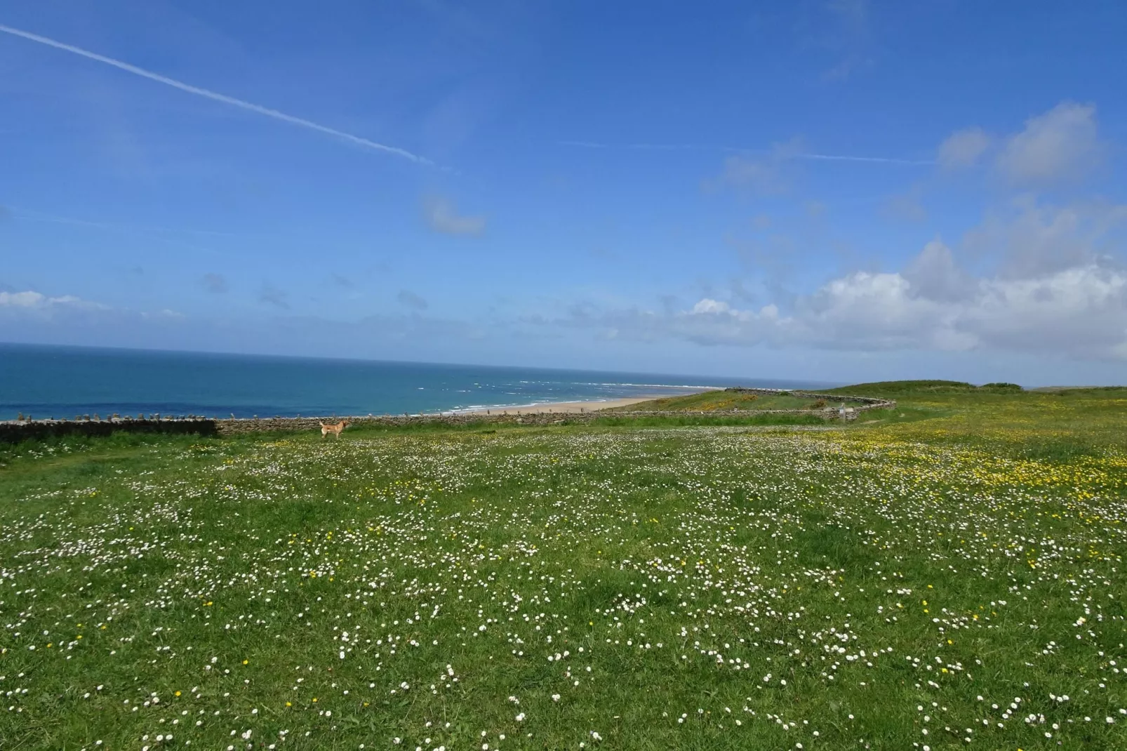 Ferienhaus La Bucaille Barneville-Carteret-Zones d'été à 1 km