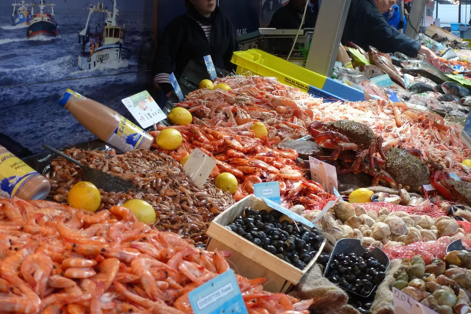 Ferienhaus La Bucaille Barneville-Carteret-Zones d'été à 20 km