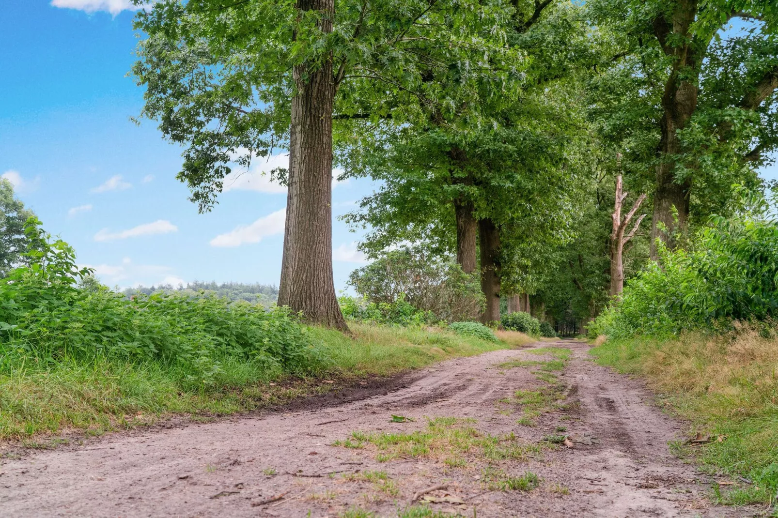 't Bunt-Gebiete Sommer 1 km