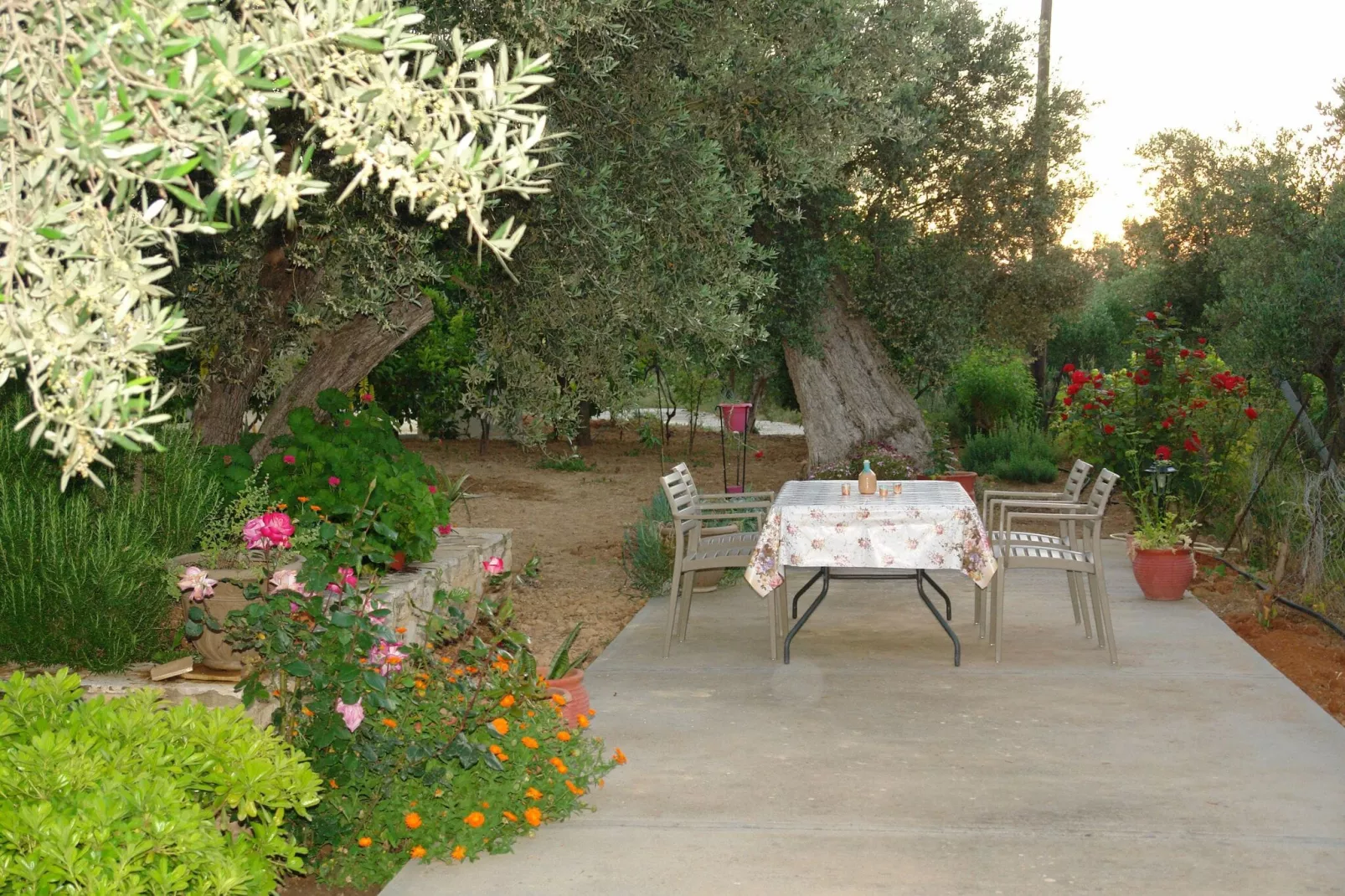 Villa Afroditi-Terrace balcony