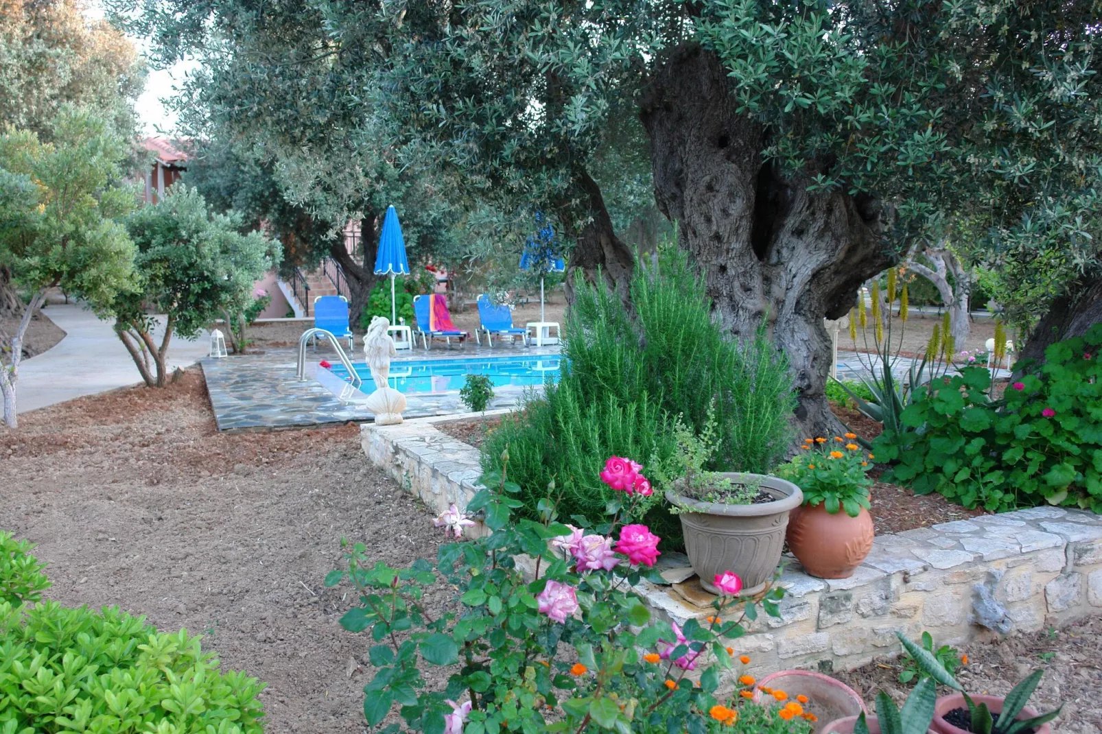 Villa Afroditi-Gardens summer