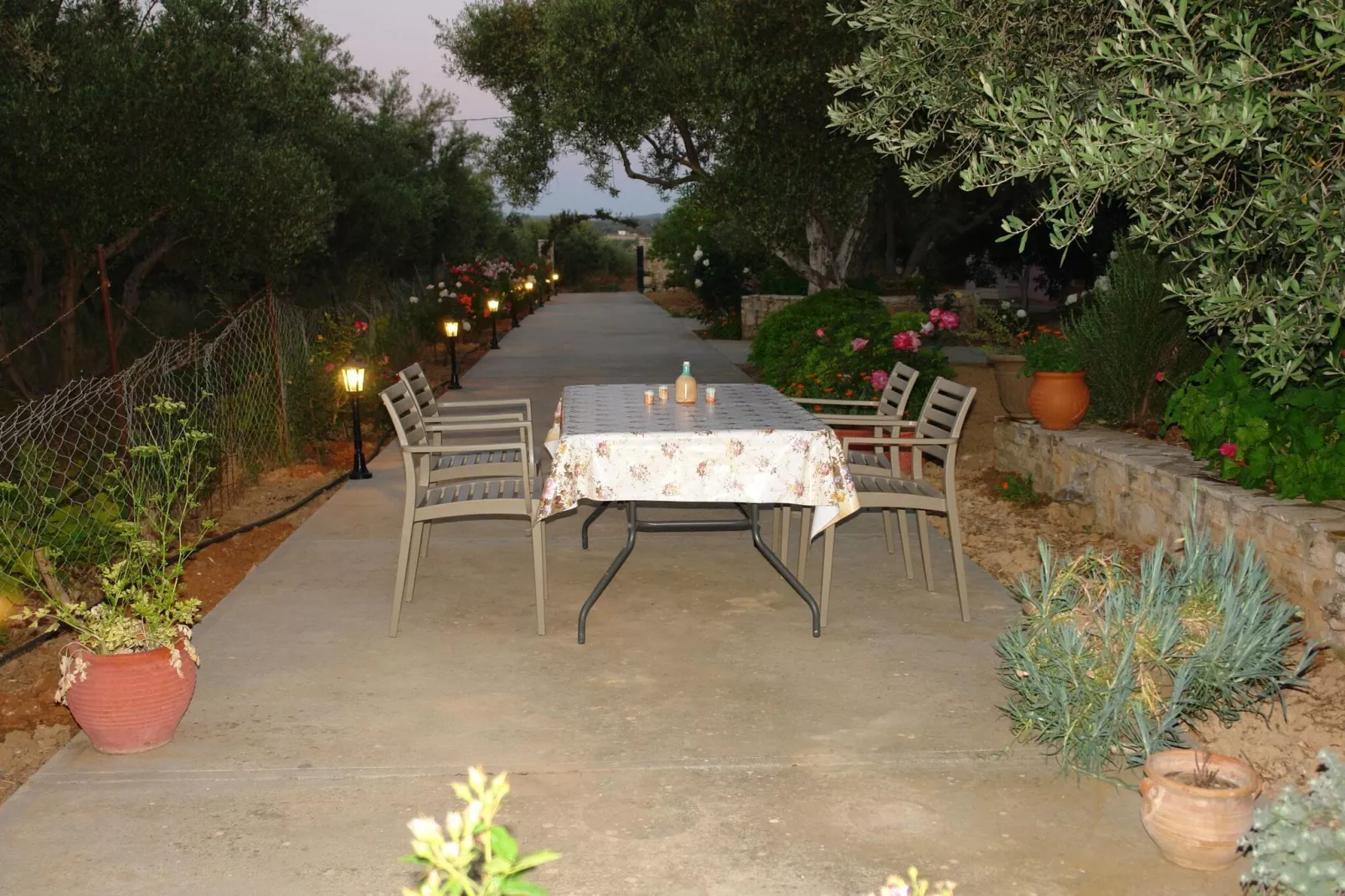 Villa Afroditi-Gardens summer