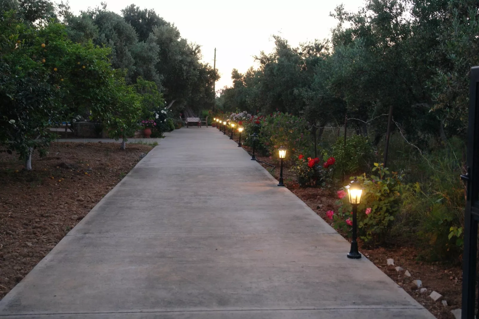 Villa Afroditi-Gardens summer