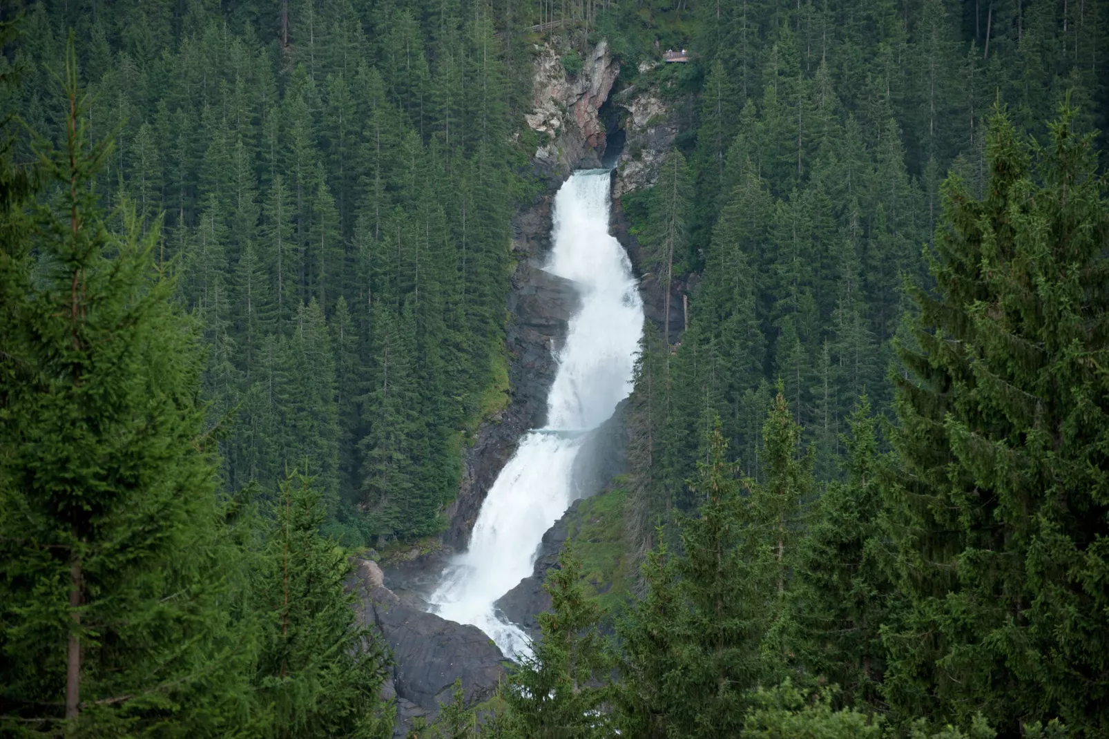Steger-Areas summer 5km