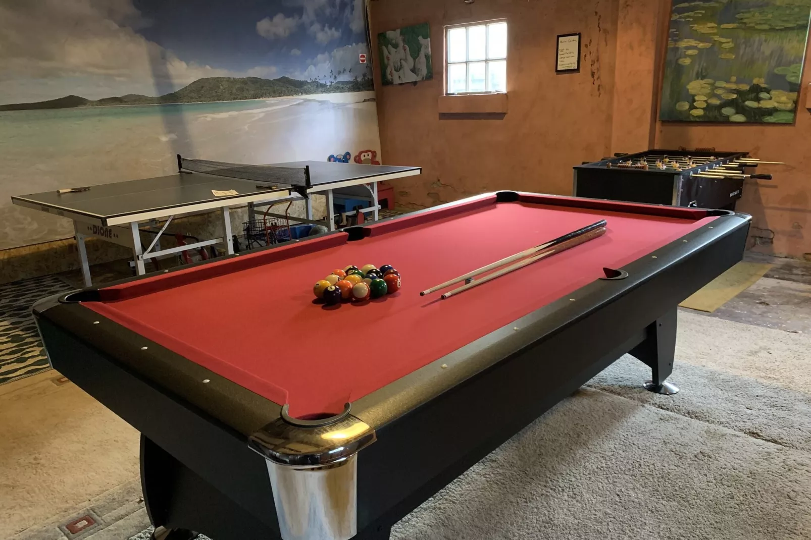 Ganzenmars-Recreation room