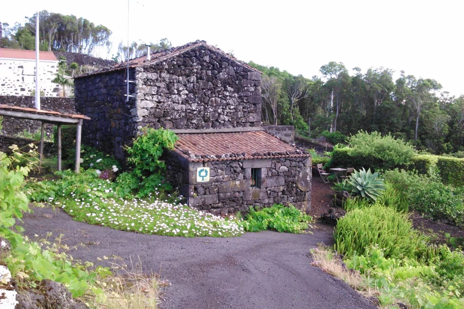 Holiday home in Praínha - Pico - Azores / Casa da Adega-Exterior summer