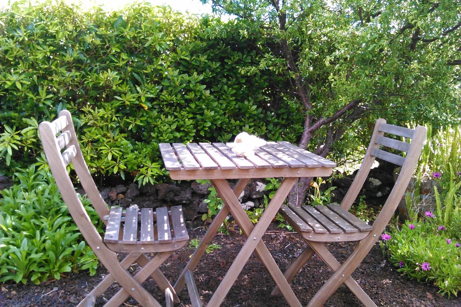Holiday home in Praínha - Pico - Azores / Casa da Adega-Gardens summer