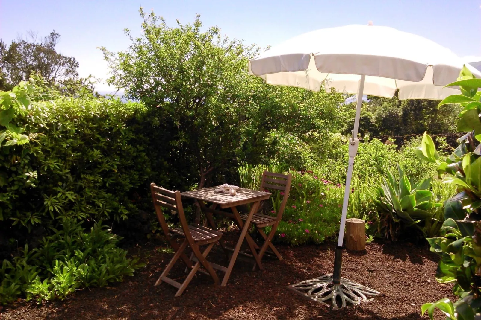 Holiday home in Praínha - Pico - Azores / Casa da Adega-Gardens summer