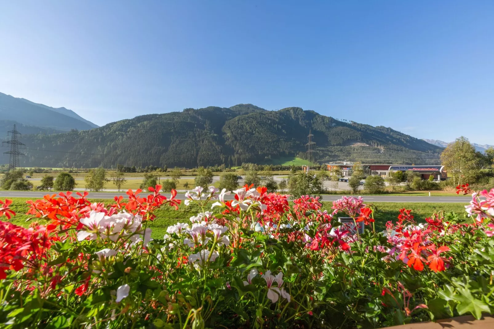 Panoramablick-Gardens summer
