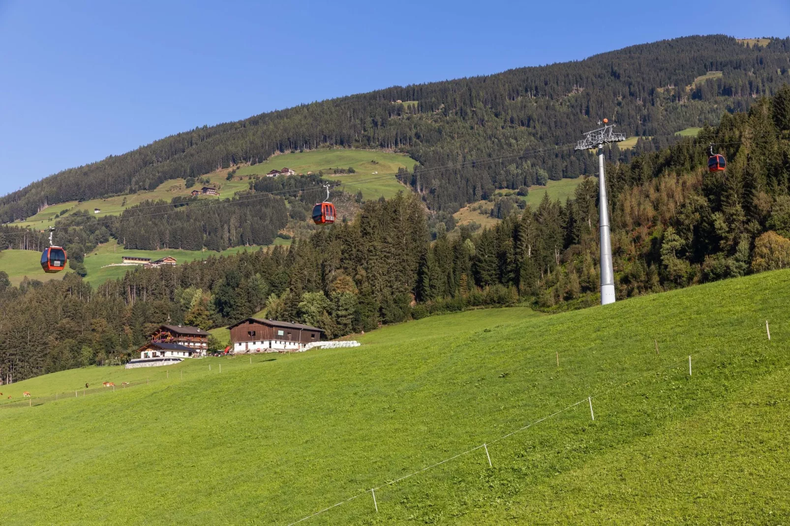 Panoramablick-View summer