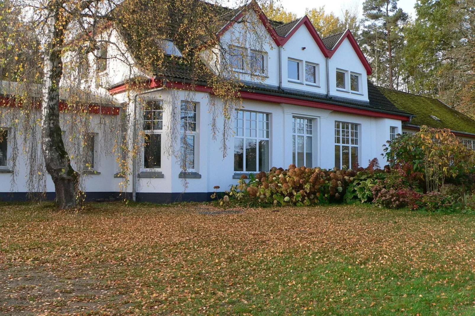 Ostseeblick Kühlungsborn mit Terrasse und Garten-Außenbereich Sommer